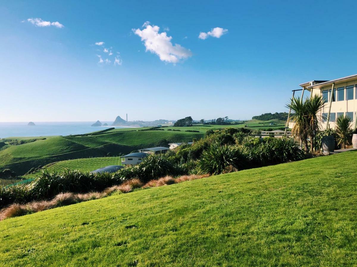 Chalets At Okurukuru Lejlighed New Plymouth Eksteriør billede