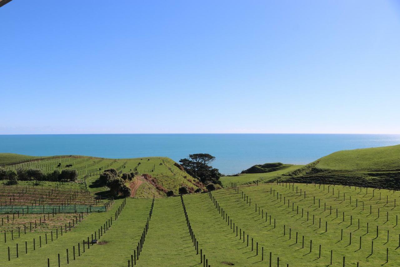 Chalets At Okurukuru Lejlighed New Plymouth Eksteriør billede