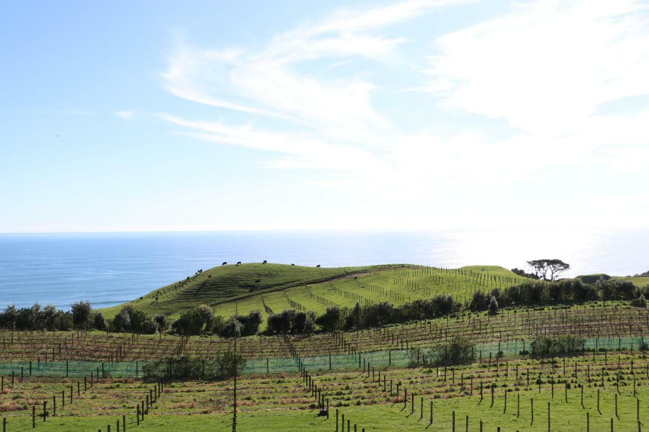 Chalets At Okurukuru Lejlighed New Plymouth Eksteriør billede